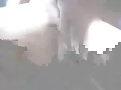 Trẻ nghiệp dư phim xes heo cumshots bên trong
